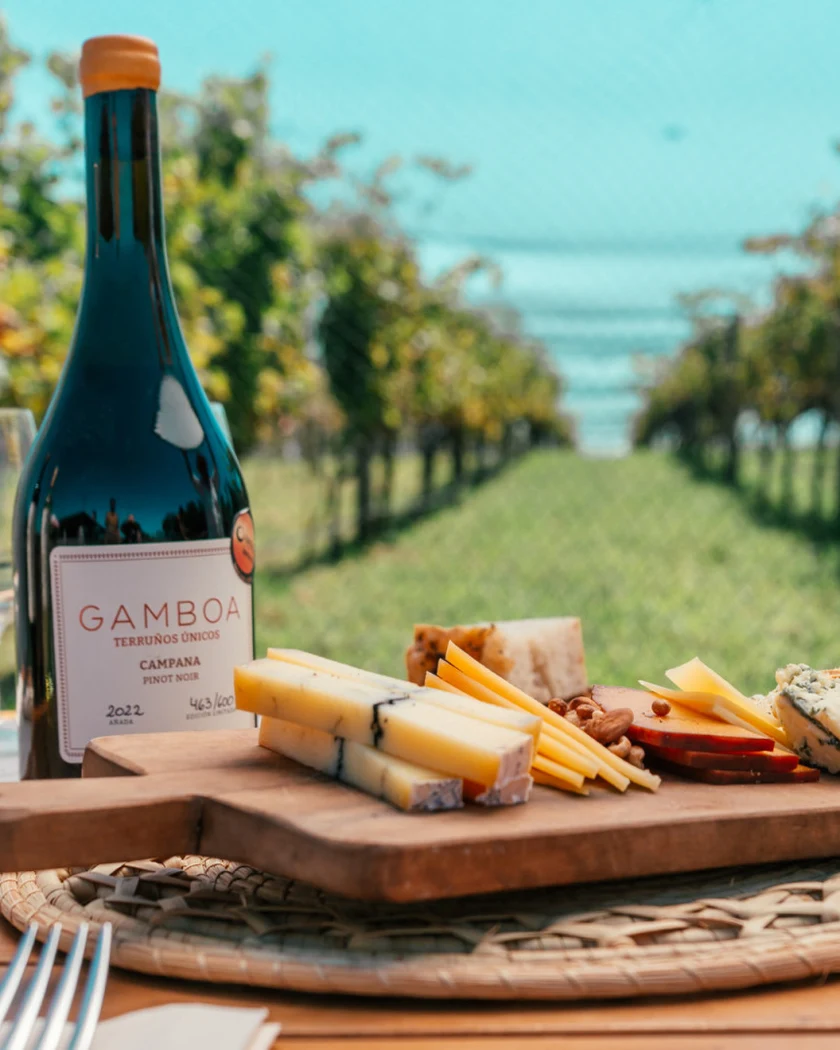 Actividad Bodega Gamboa: Vinos, Naturaleza y Tradición