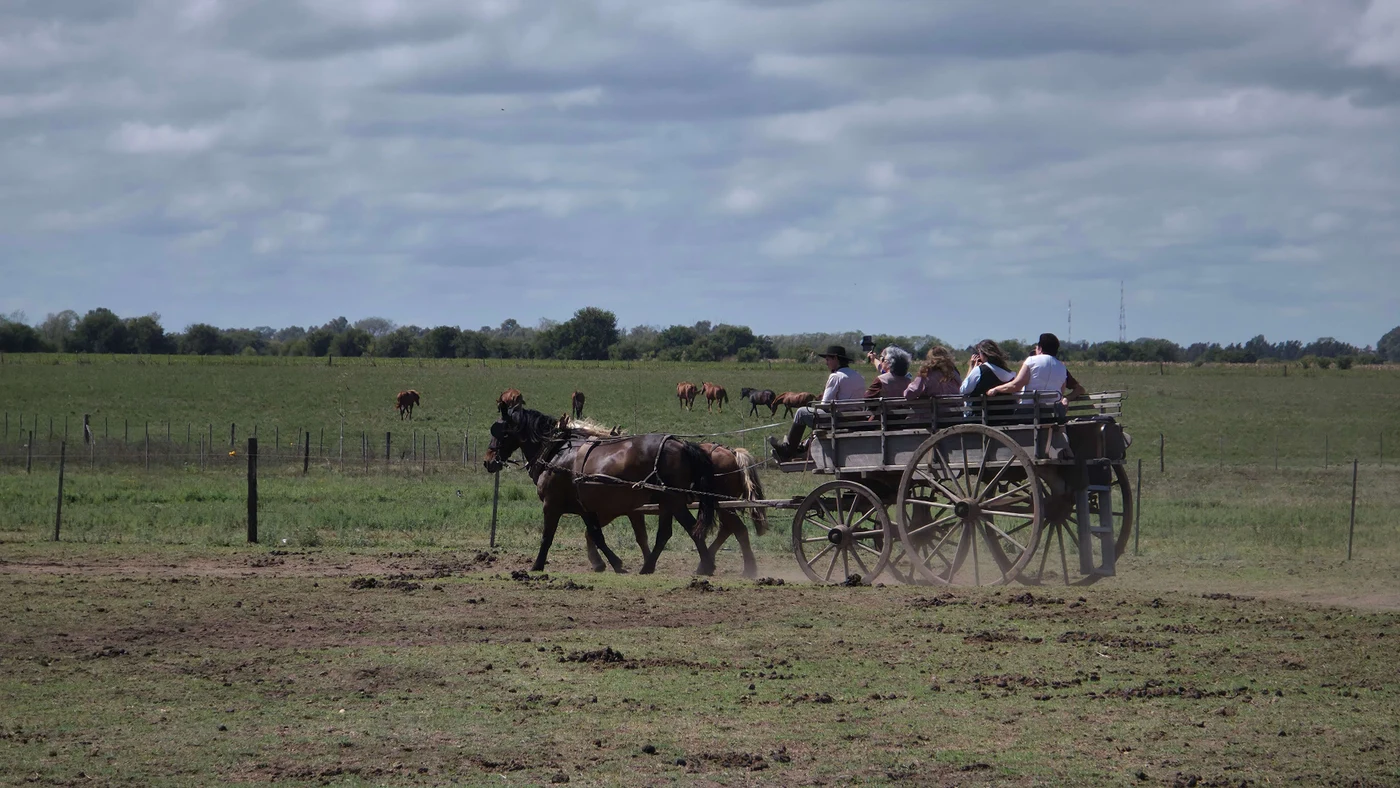 Actividad Estancia Santa Susana: Fiesta Gaucha y Tradición Argentina