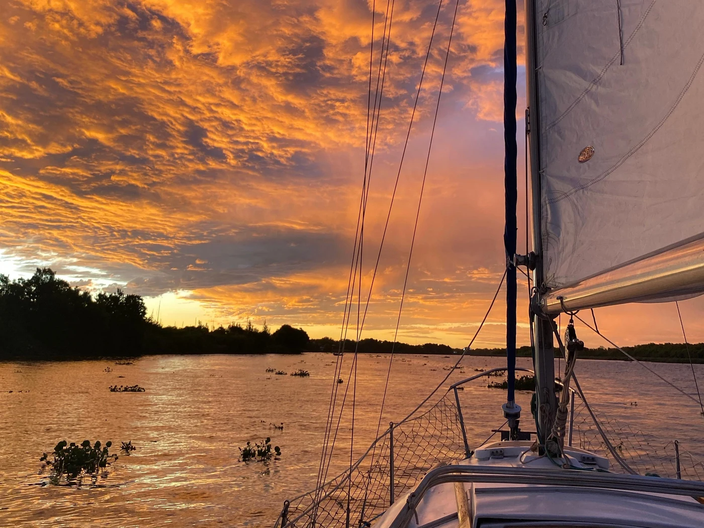 Actividad Navegación Privada en Velero por el Río de la Plata